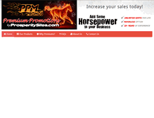 Tablet Screenshot of ppmpromos.com